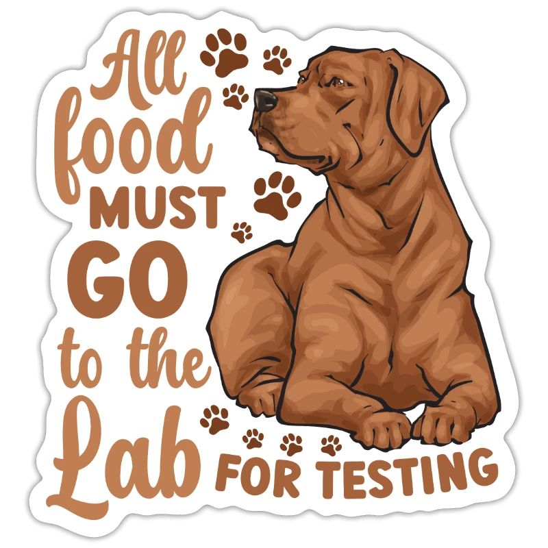 Fuchsroter Labrador Retriever Fox Red Labrador