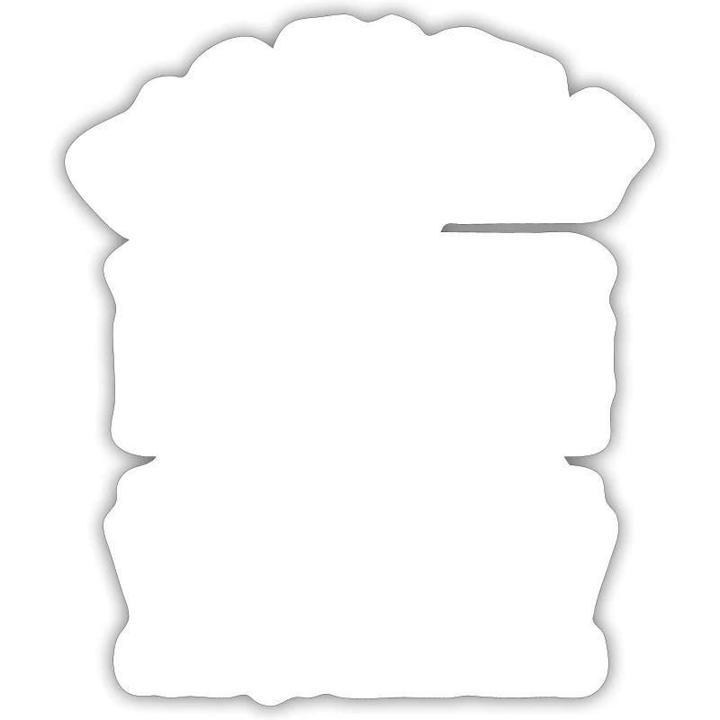 CUISINIER FORMIDABLE