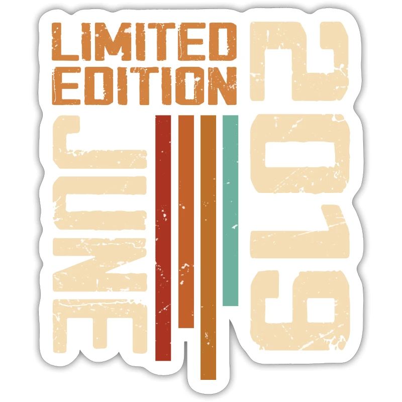 Juni 2019 Geburtstagsgeschenk Juni 2019 Retro 2019