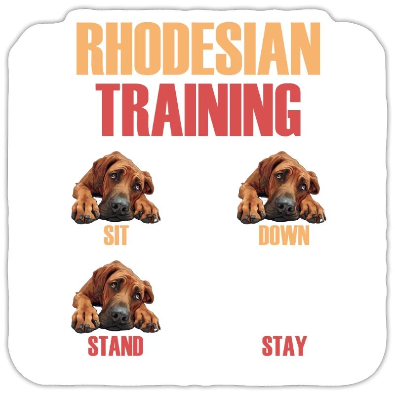 Rhodesian Training Rhodesian Ridgeback Owner