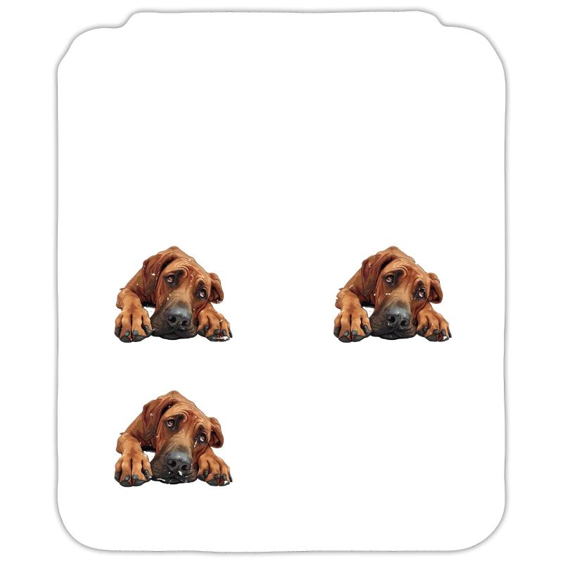 RHODESIAN RIDGEBACK TRAINING SHEET Ridgeback