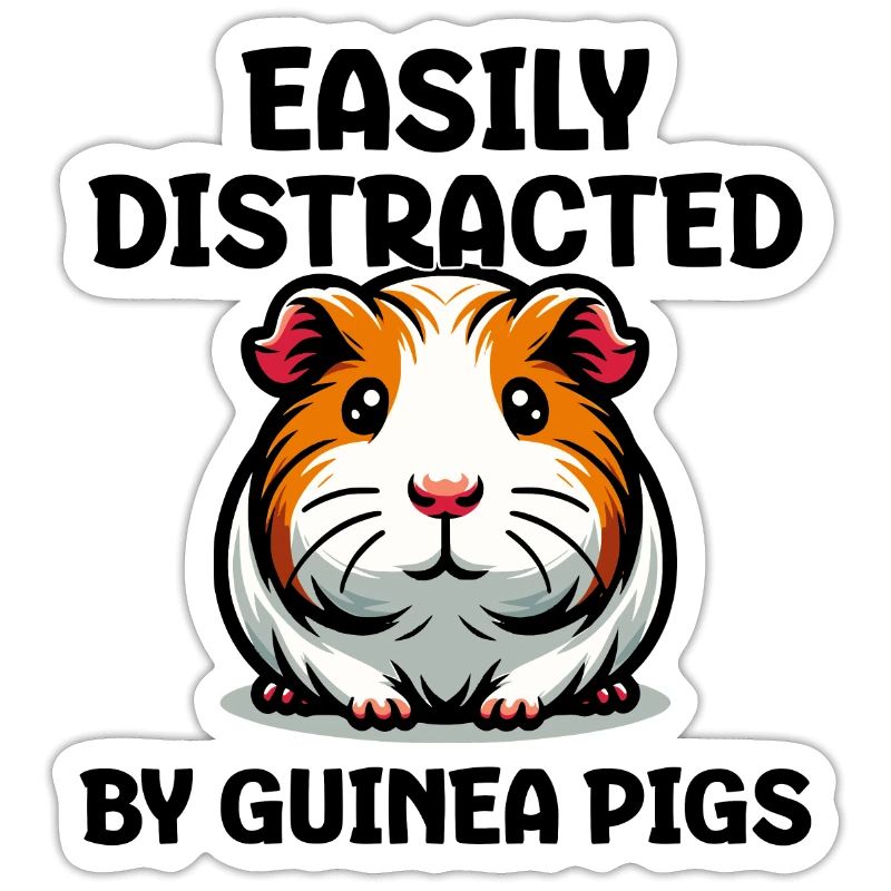 Facilement distrait par les cochons d’Inde