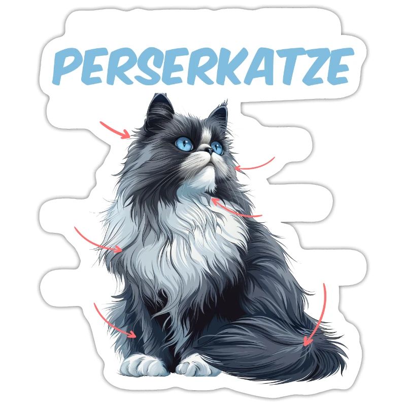 Chats persans LE PLAN D’UN CHAT PERSAN