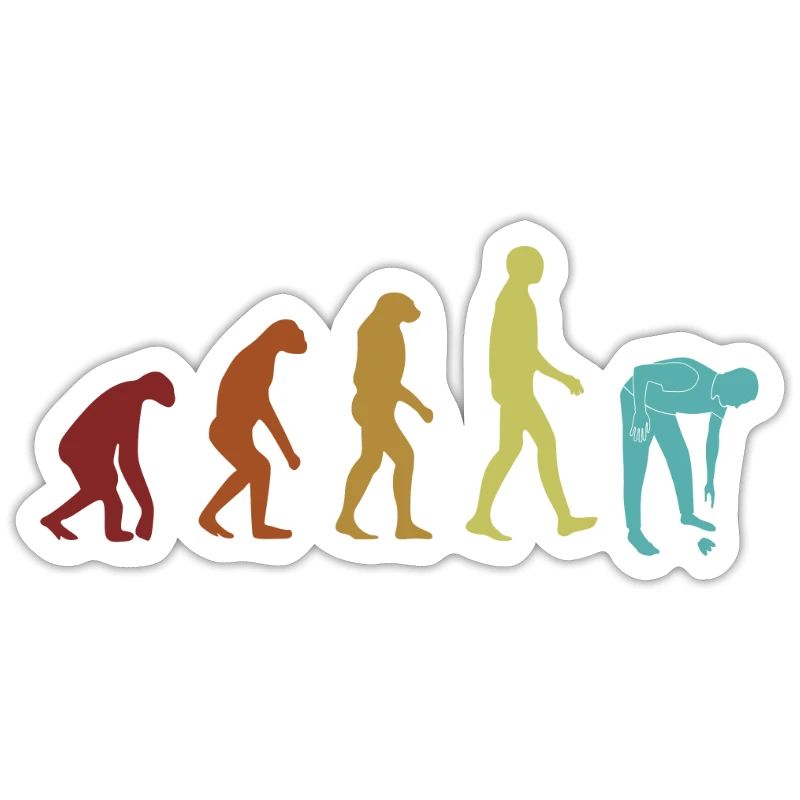 Evolution Shelling Bag Bivalvia Shell Seashell