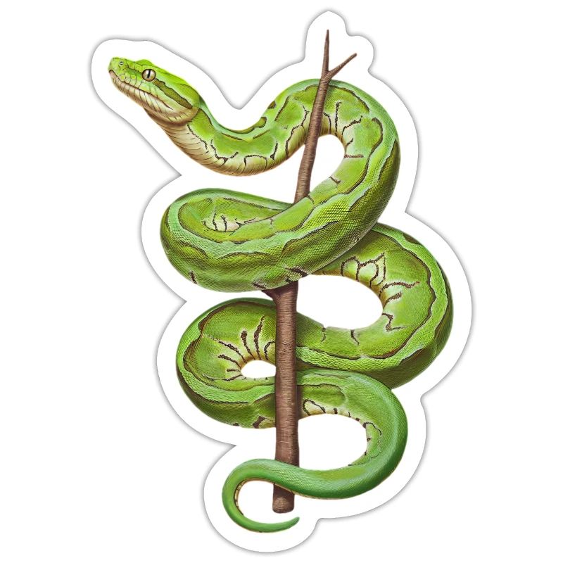 Green Tree Python Snakes Lover Terrarium