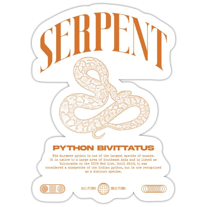 Burmese Python Modern Reptile Keeper Streetwear