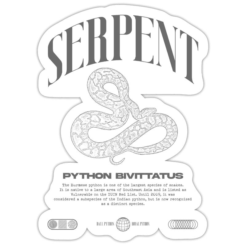 Burmese Python Modern Reptile Keeper Streetwear
