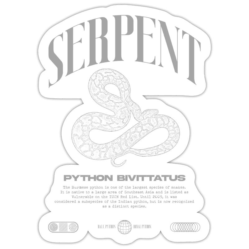 Burmese Python Modern Reptile Keeper Streetwear
