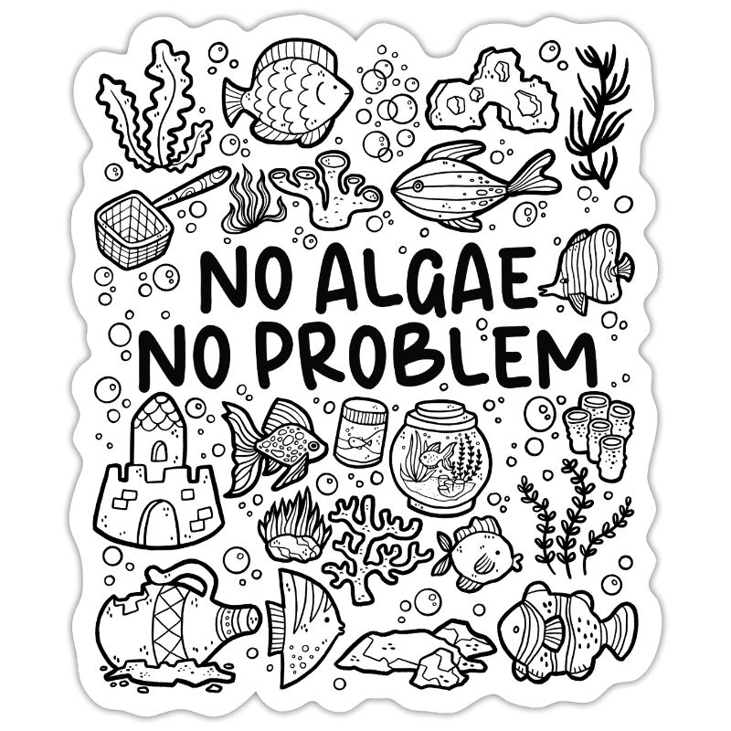 No algae, no problem – aquarium