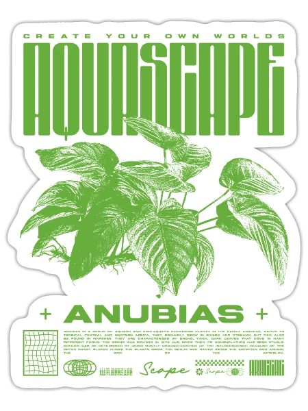 Aquascaping Anubias Aquatic Plant Fischhalter - Sticker Größe S (10 x 10 cm) - Mattweiß - Vorne