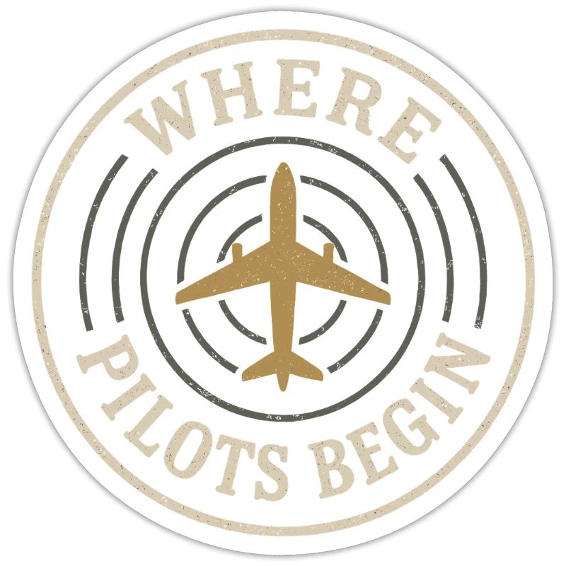 Flight Instructor Cfi Pilot Aviation Instructor