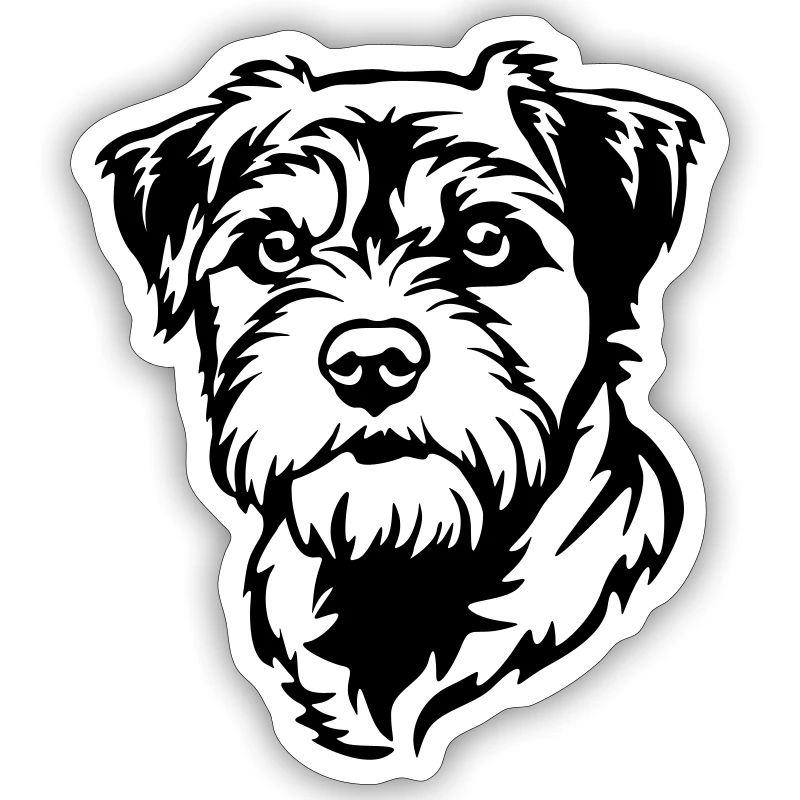 Border Terrier Head