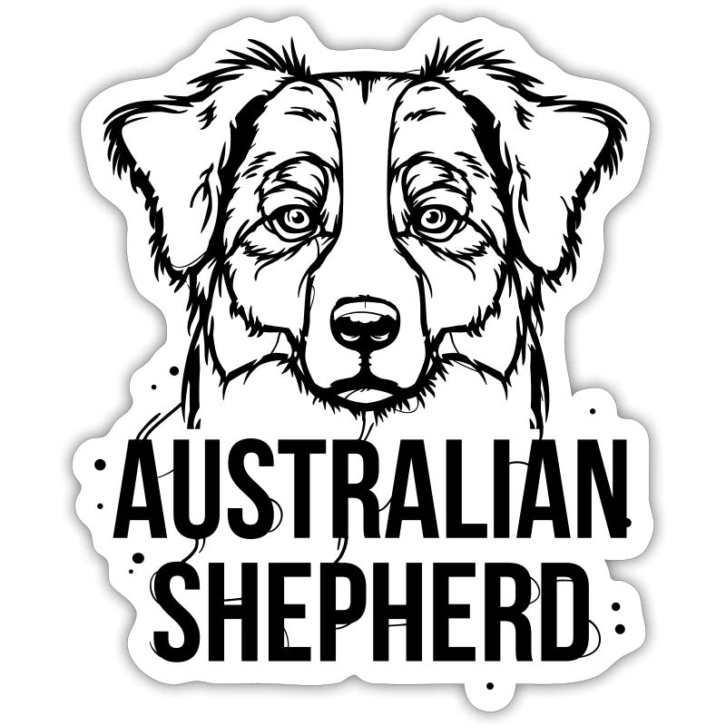 Australian Shepherd