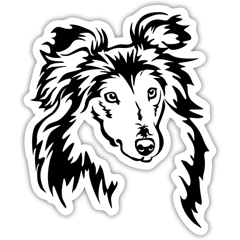Sheltie Head