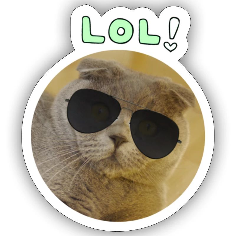 Moderne kat