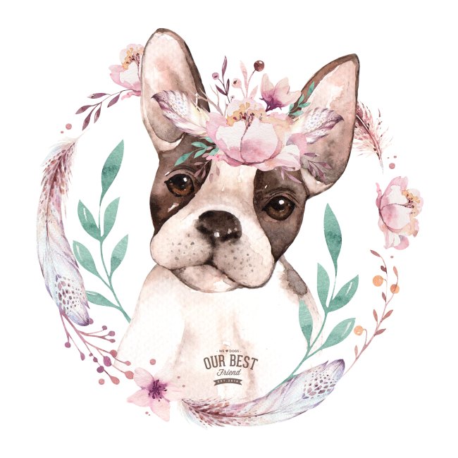 French Bully Flowers - Französische Bulldogge