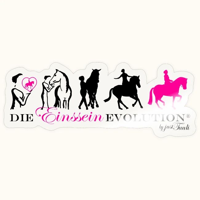 Einssein Evolution sp22