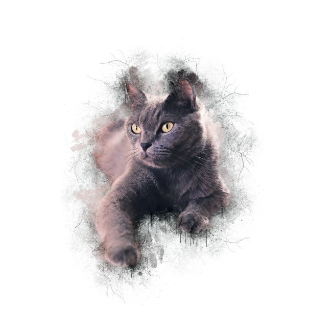 Chartreux peinture watercolor -by- Wyll-Fryd