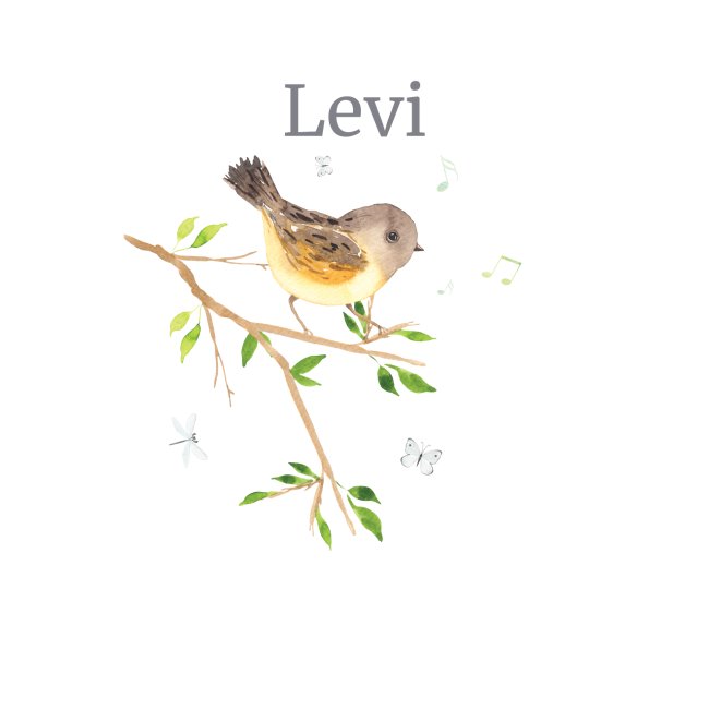 Waldtier Vogel Name Levi