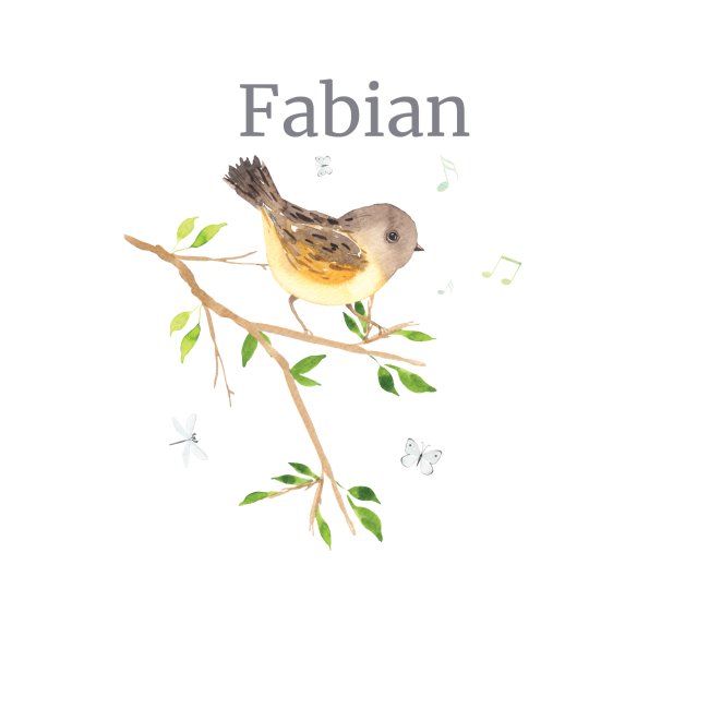 Waldtier Vogel Name Fabian