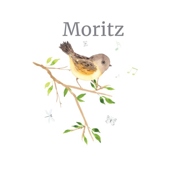 Waldtier Vogel Name Moritz