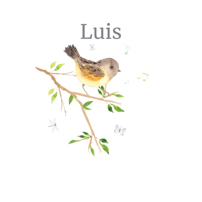 Waldtier Vogel Name Luis