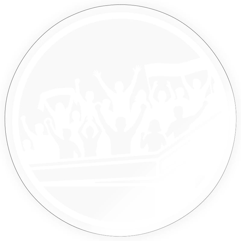 Fans Stadium Silhouette