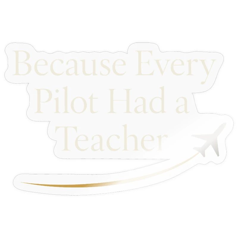 Flight Instructor Cfi Pilot Aviation Instructor