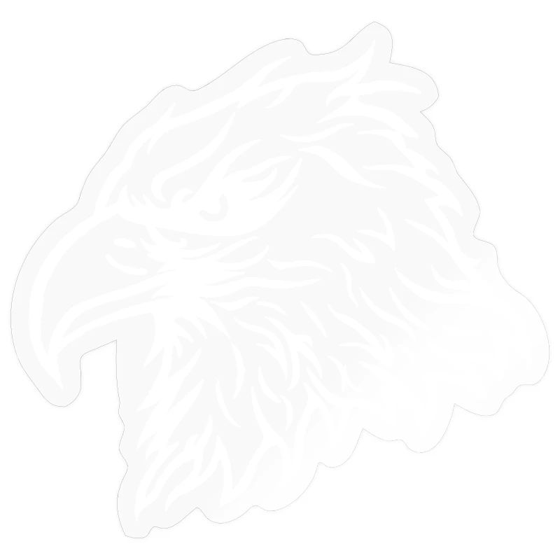 Cool Bald Eagle Eagle