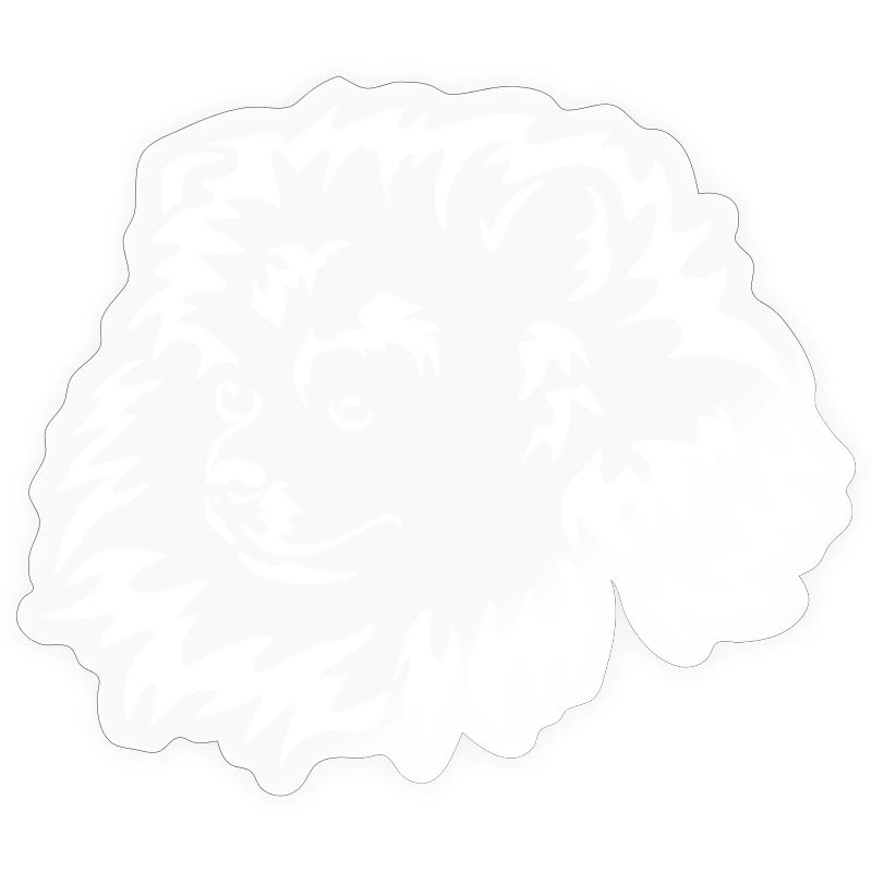 Miniature Spitz Head "Black Edition"