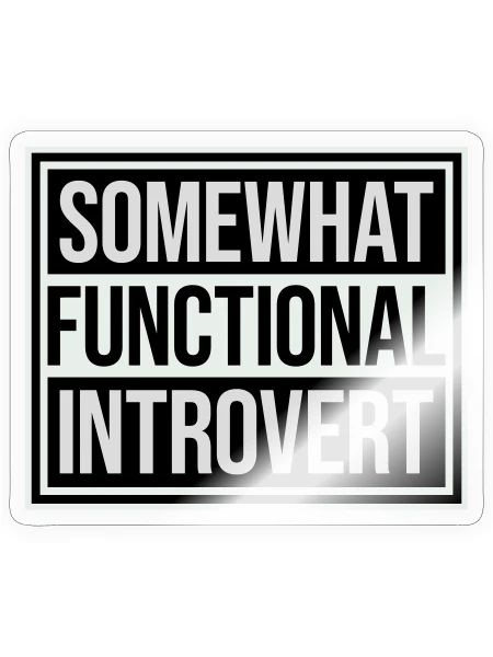 Somewhat Functional Introvert Spruch Logo Text - Sticker Größe S (10 x 10 cm) - Transparent glänzend - Vorne
