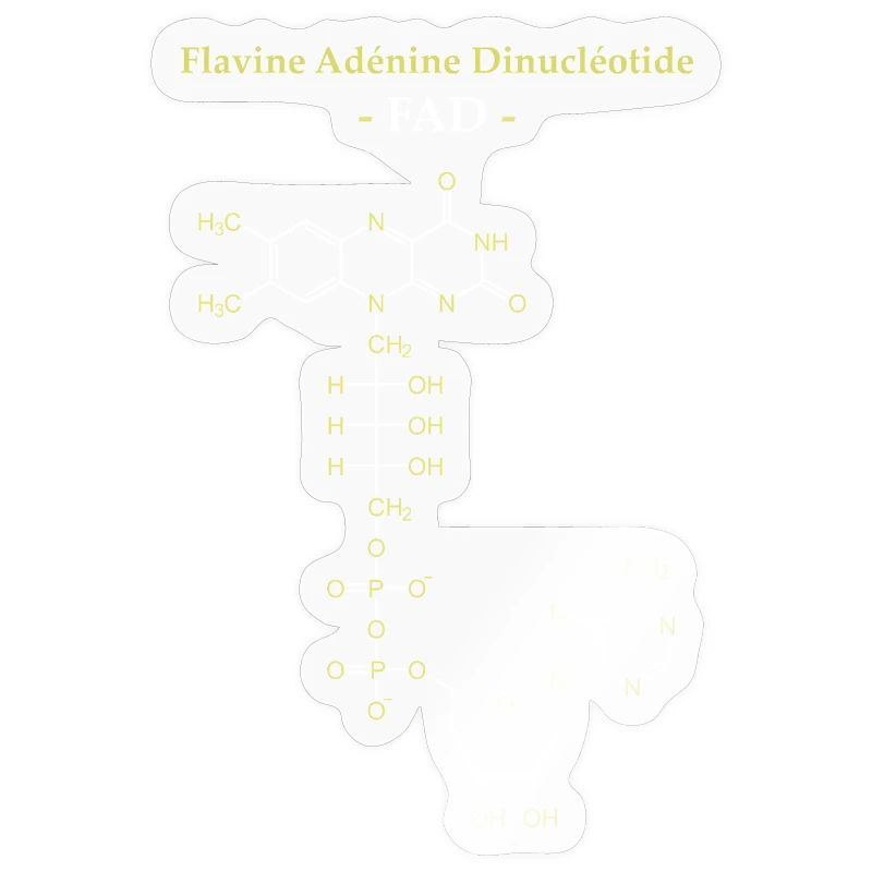 ADF Flavin Adenine Cofactor