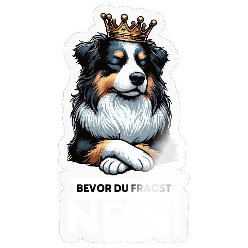 Avant que vous ne demandiez : Berger australien Aussie Aussie