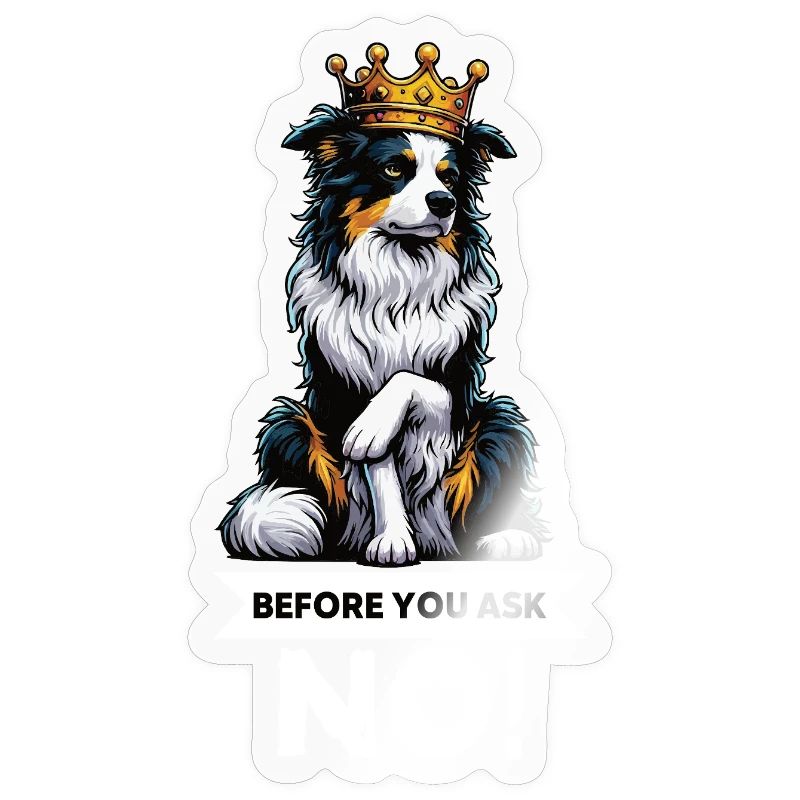 Before You Ask Australian Shepherd Aussie Aussies