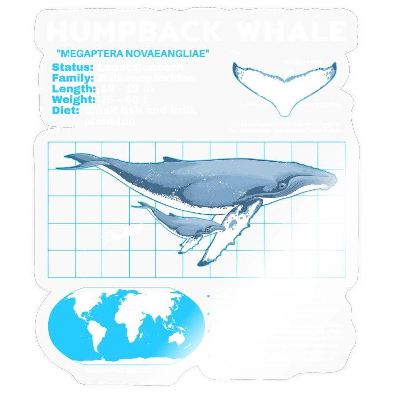 Humpback Whale Datasheet