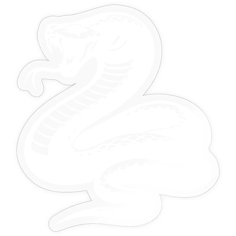 Snake Python Silhouette