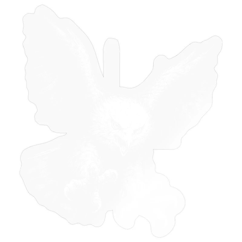 Pygargue à queue blanche