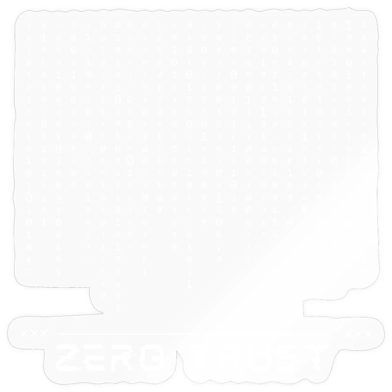 Code binaire Zero Trust