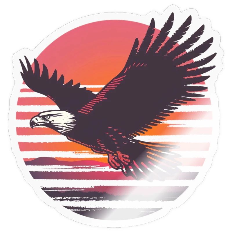 Eagle in flight before sunset