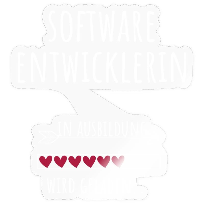 Software Developer Computer Science Studies Profession