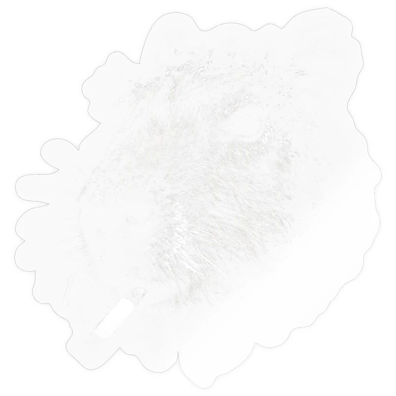 Rauchen, Zigarette, Capybara raucht eine Zigarette