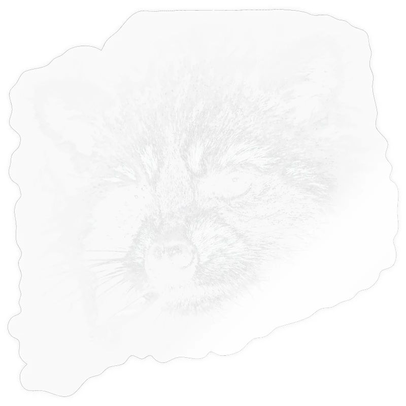 Rauchen, Zigarette, Waschbär raucht eine Zigarette