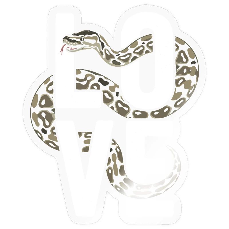Les serpents rois Python ADORENT les pythons de terrarium