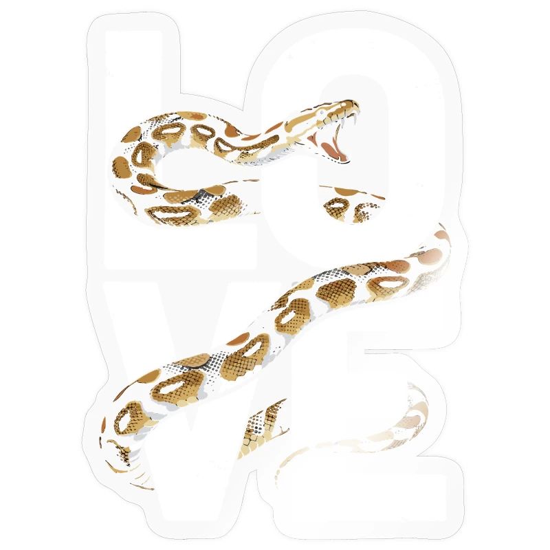 Les serpents rois Python ADORENT les pythons de terrarium