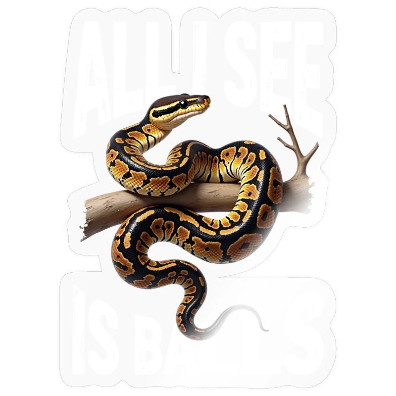 Python roi Serpents Amateurs de terrarium Python