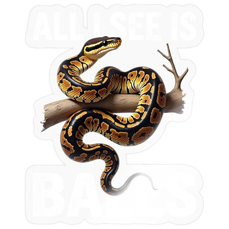 Python roi Serpents Amateurs de terrarium Python