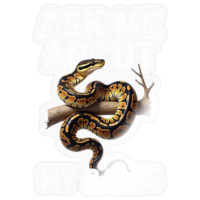 Python roi Serpents Amateurs de terrarium Python