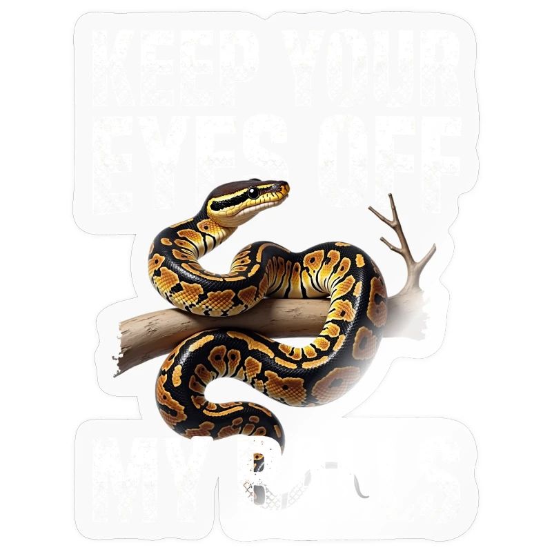 Python roi Serpents Amateurs de terrarium Python