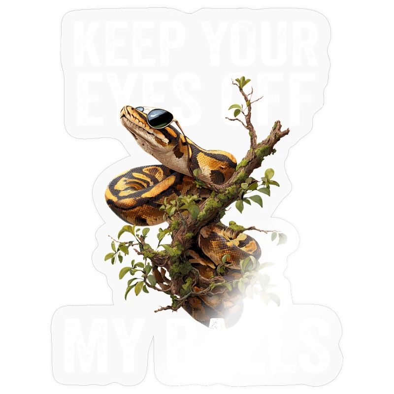 Königspython Schlangen Liebhaber Terrarium Python