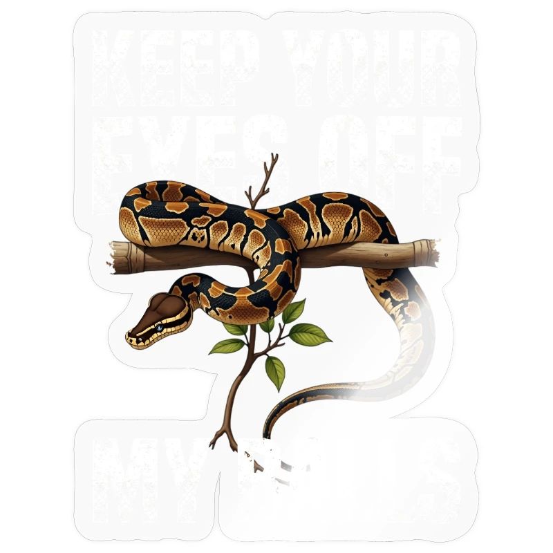 Königspython Schlangen Liebhaber Terrarium Python